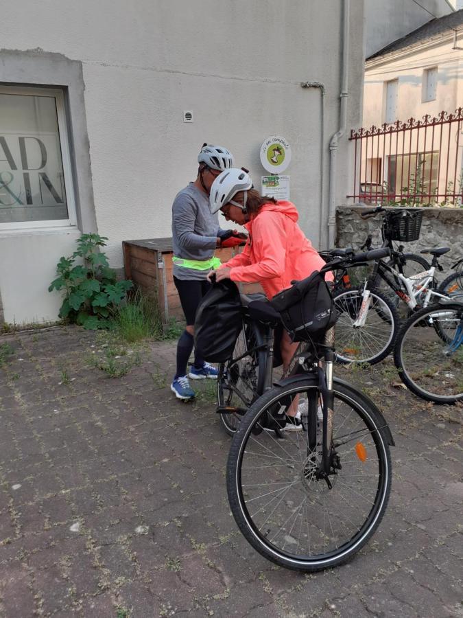 Zola Séjour chez l'habitant Nantes